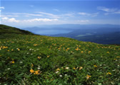 片倉岳付近から夏の田沢湖